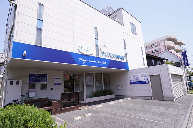 アンジェス動物病院の外観写真